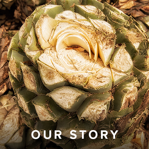 Home El Jimador Tequila